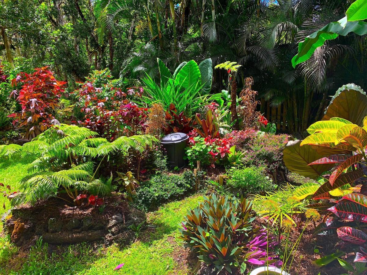 Phoenix Garden Pahoa Exterior foto