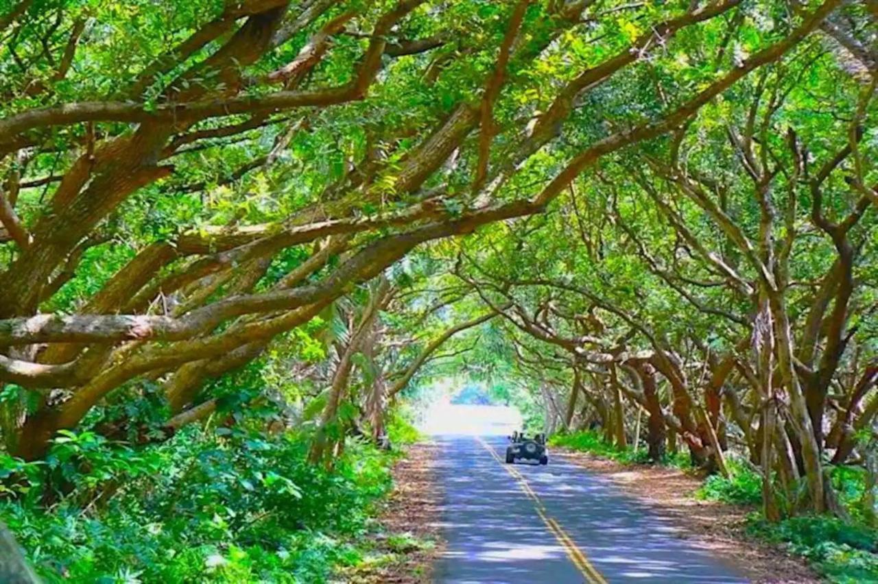 Phoenix Garden Pahoa Exterior foto