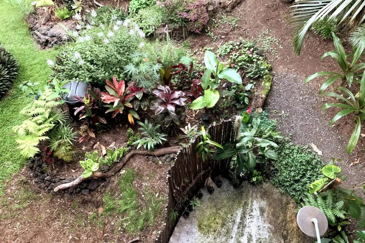 Phoenix Garden Pahoa Exterior foto
